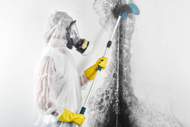 Best Real Estate Mold Inspection  in Commerce, CA