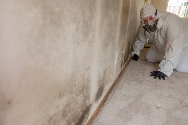 Best Commercial Mold Inspection  in Commerce, CA